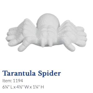 Tarantula Spider