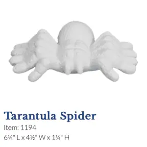 Tarantula Spider
