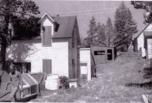 Original Structure